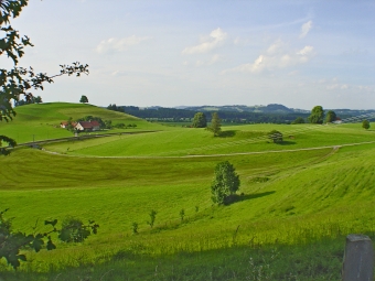 Landschaft beim Ferienhaus Heimhofen