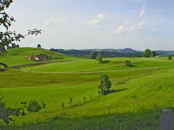 Landschaft beim Ferienhaus Heimhofen Landschaft beim Ferienhaus Heimhofen